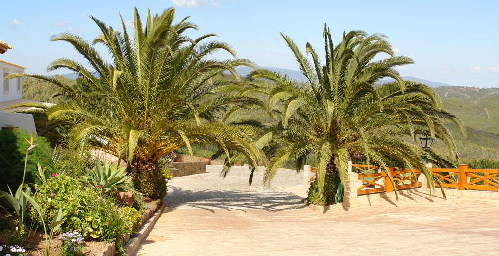 Monte da Bravura Appartement