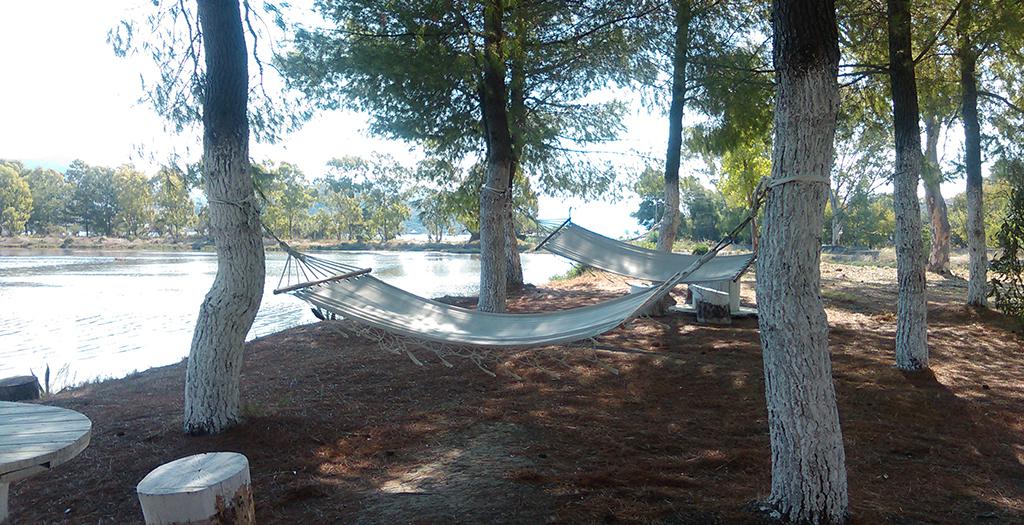 Villa Olga Lounge Hotel