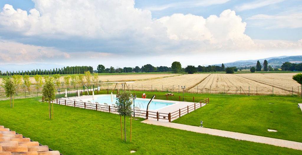 Le Rondini di Francesco di Assisi