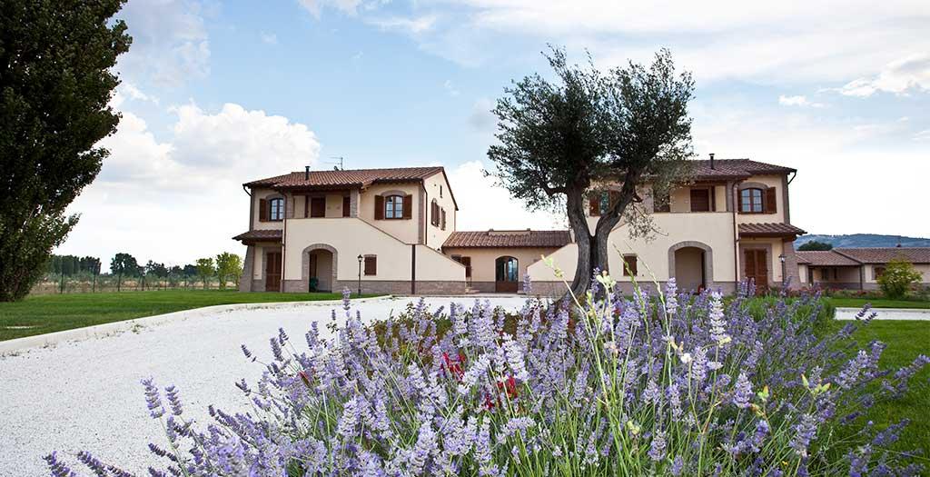 Le Rondini di Francesco di Assisi