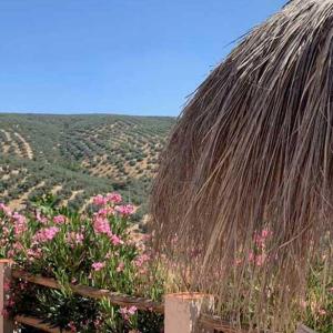 Casa Pura Vida Casa Pura Vida