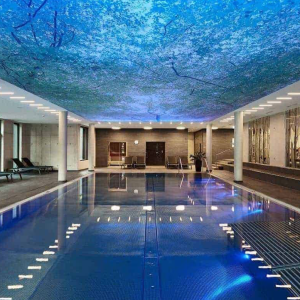 Hotel Der Waldhof Hotel Der Waldhof