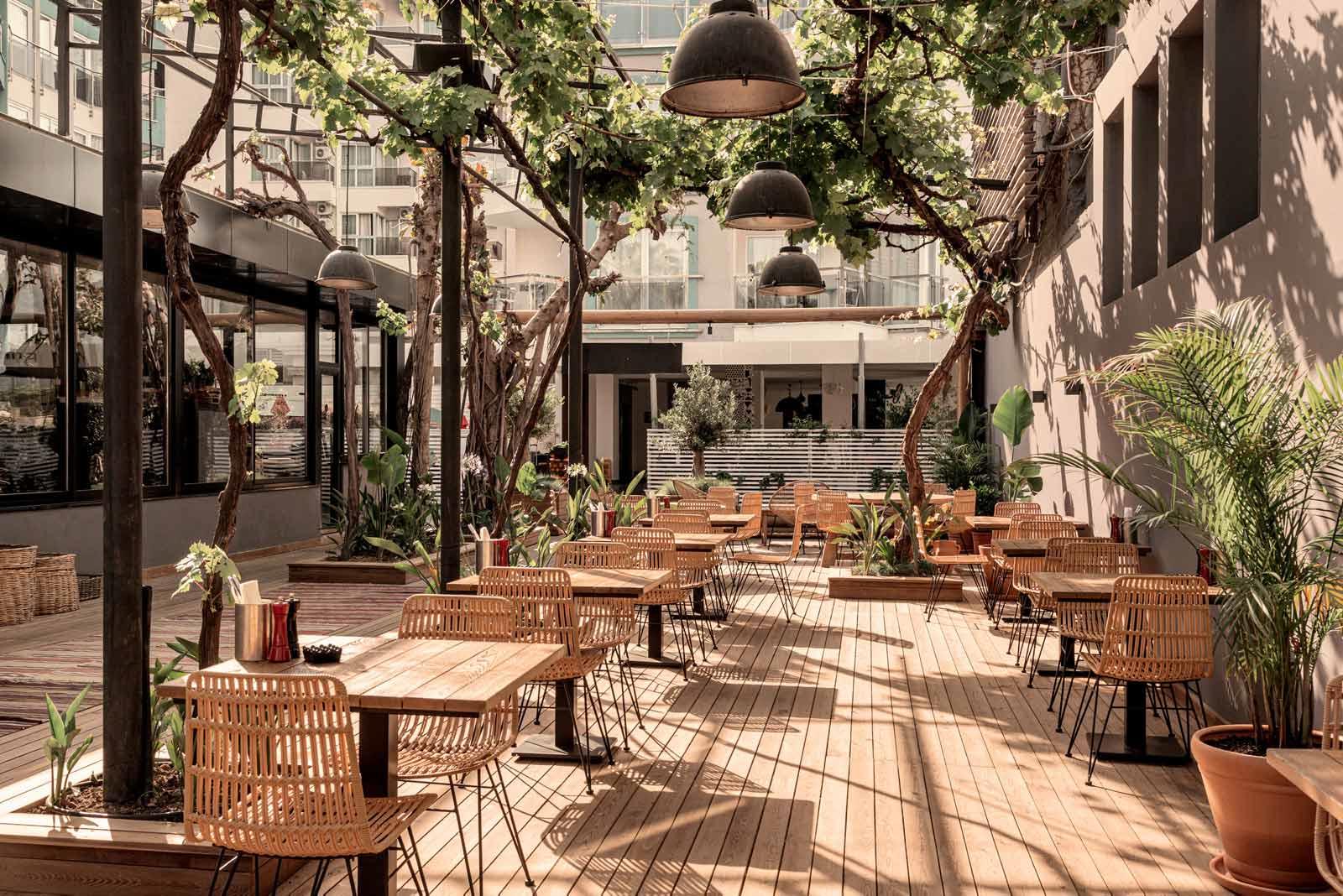 Hotel Cook's Club Alanya - adults only