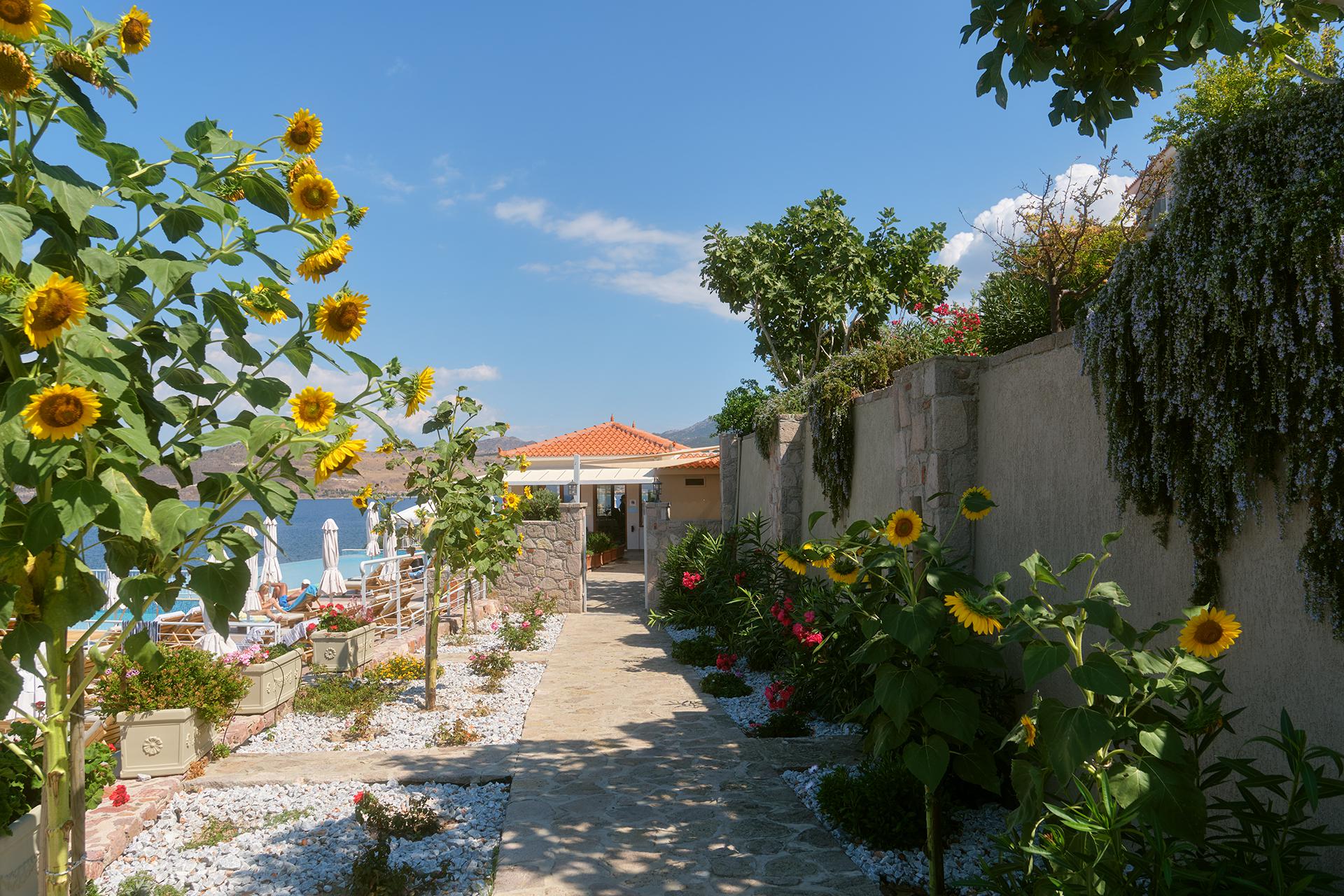 Appartementen Little Bird