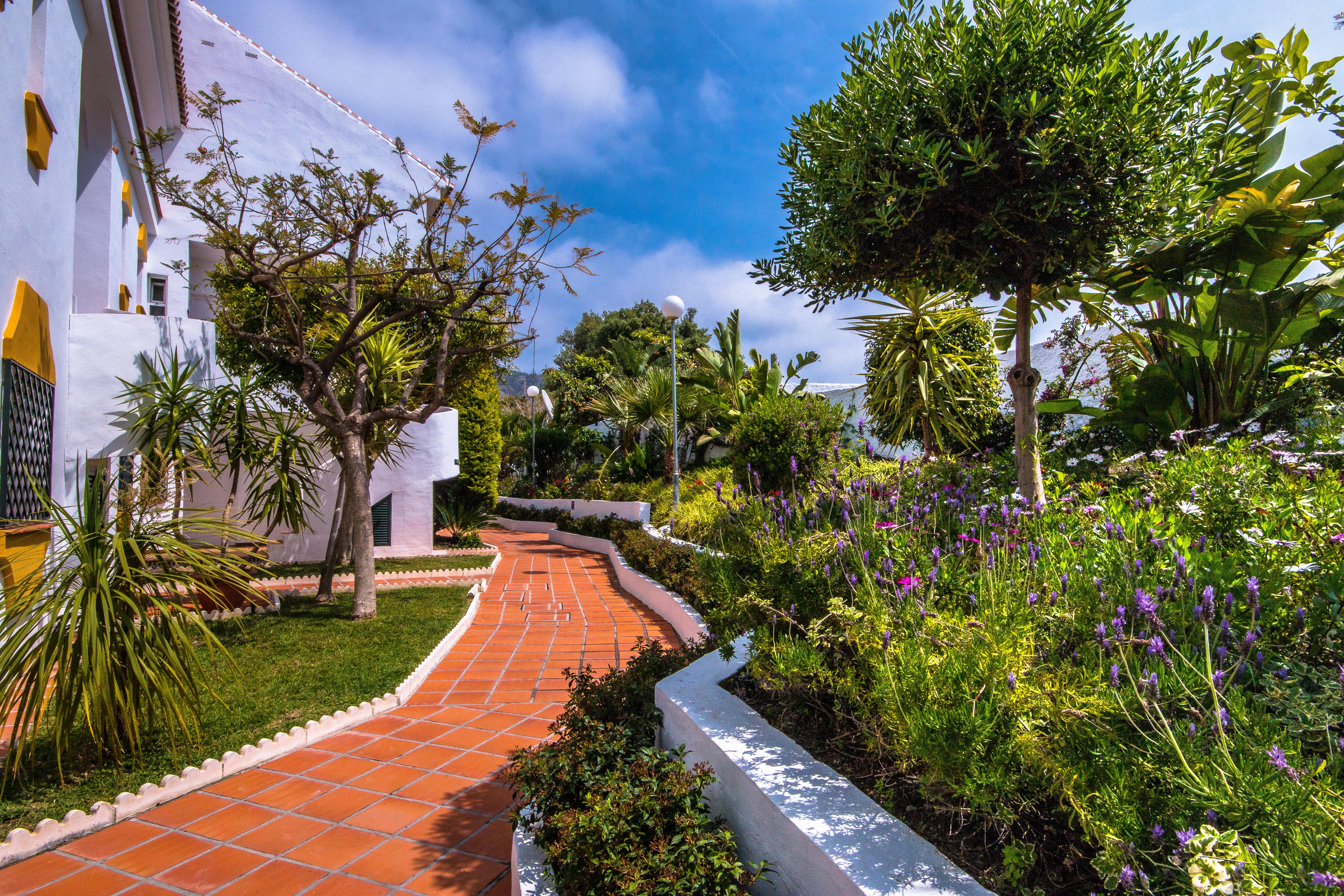 Appartementen Las Rosas de Capistrano