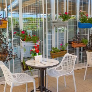 Hotel Orange County Belek - winterzon Hotel Orange County Belek - winterzon