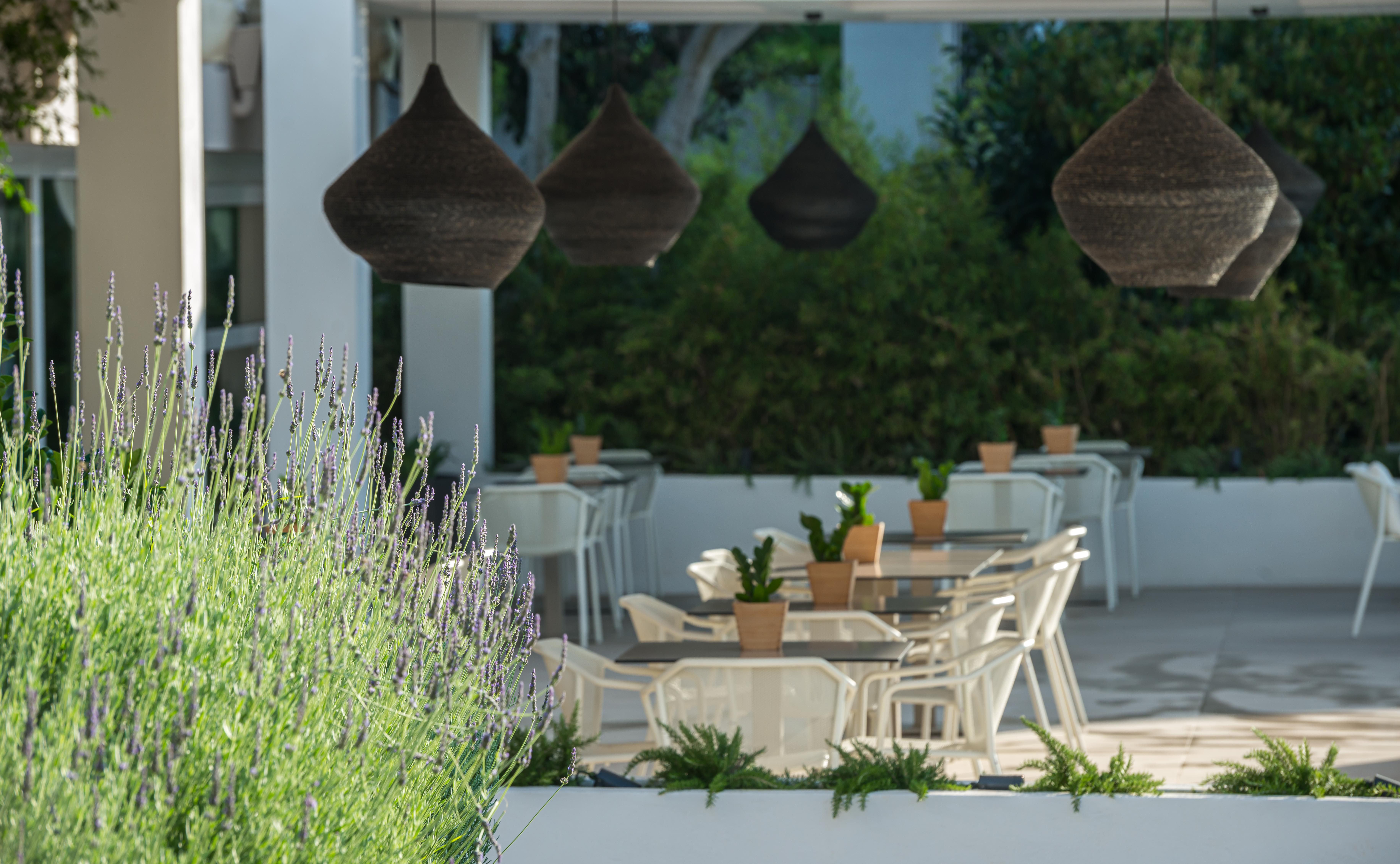 Hotel Bitzaro Grande