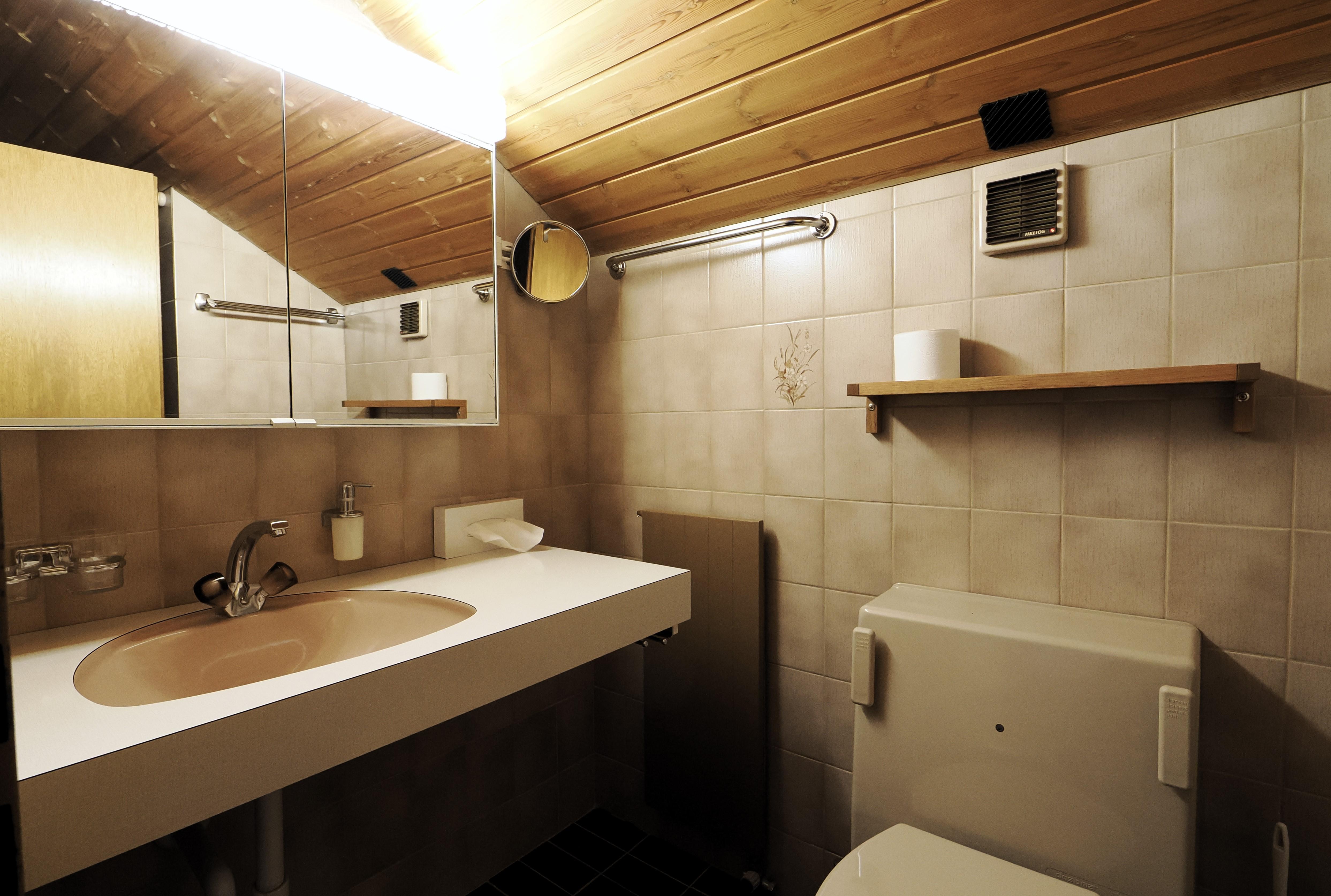 Holiday Apartment Alpina Parpan