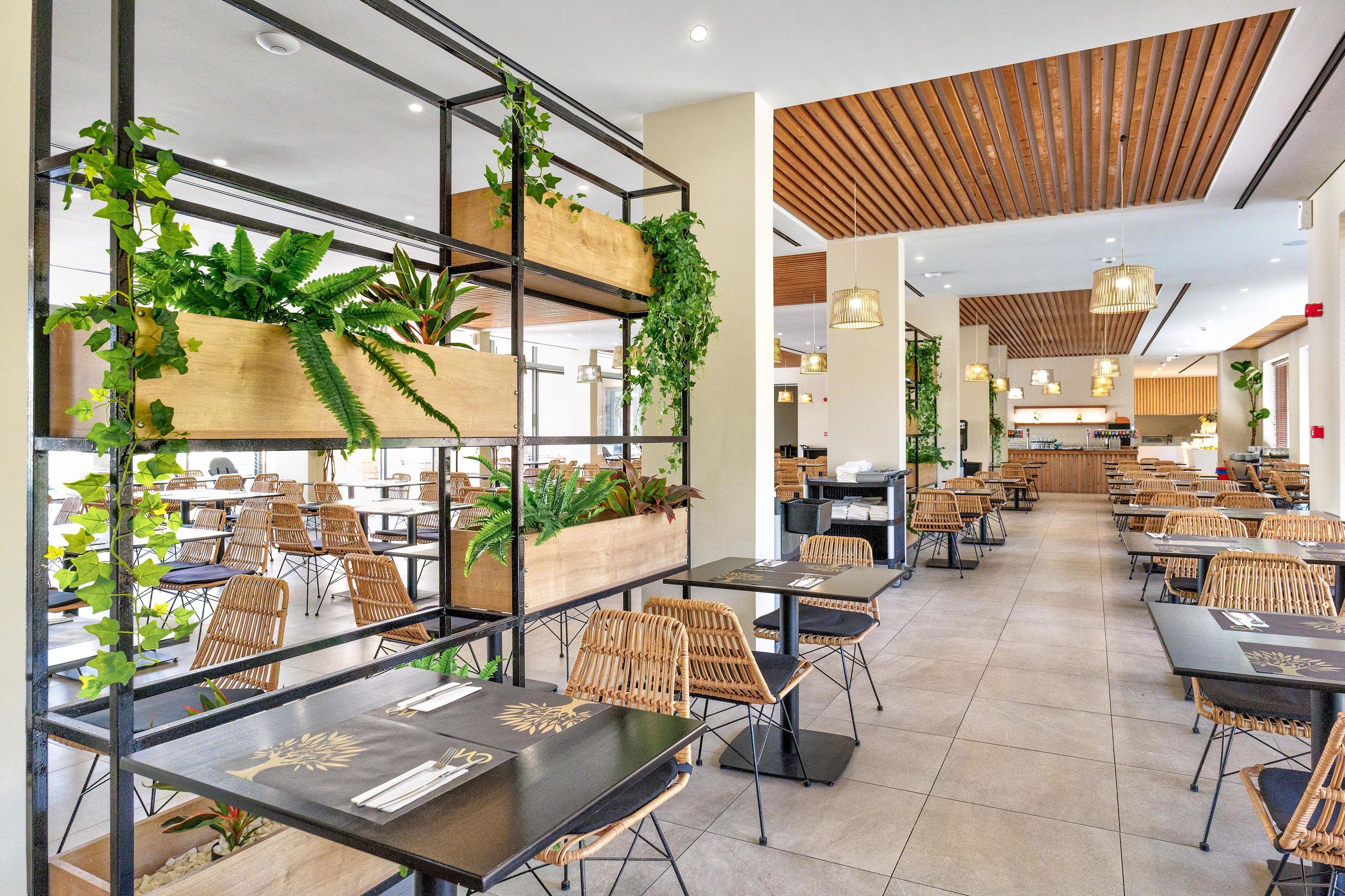 White Olive Elite Laganas