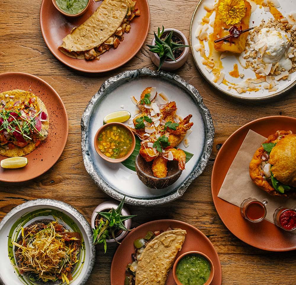 Bonito Ibiza by O Beach