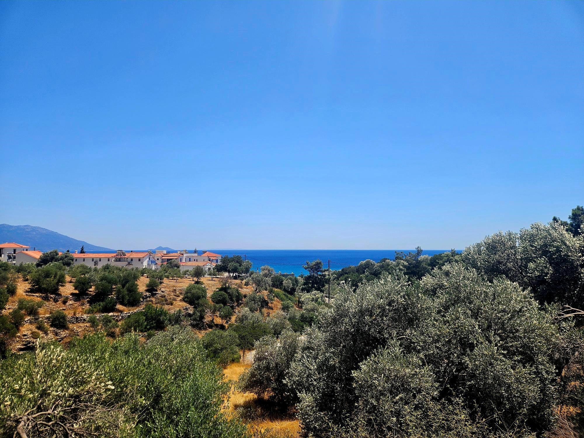 Appartementen Sunflowers