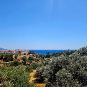 Appartementen Sunflowers Appartementen Sunflowers