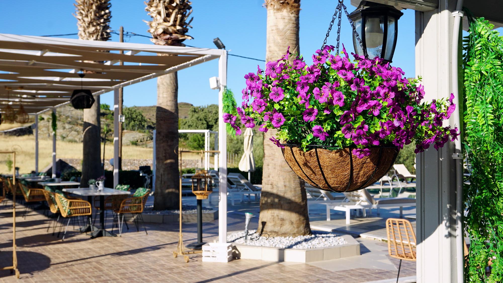 Appartementen Marilena