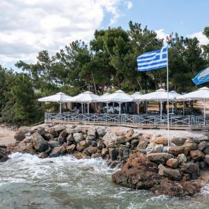 Hotel Blue Dolphin Hotel Blue Dolphin