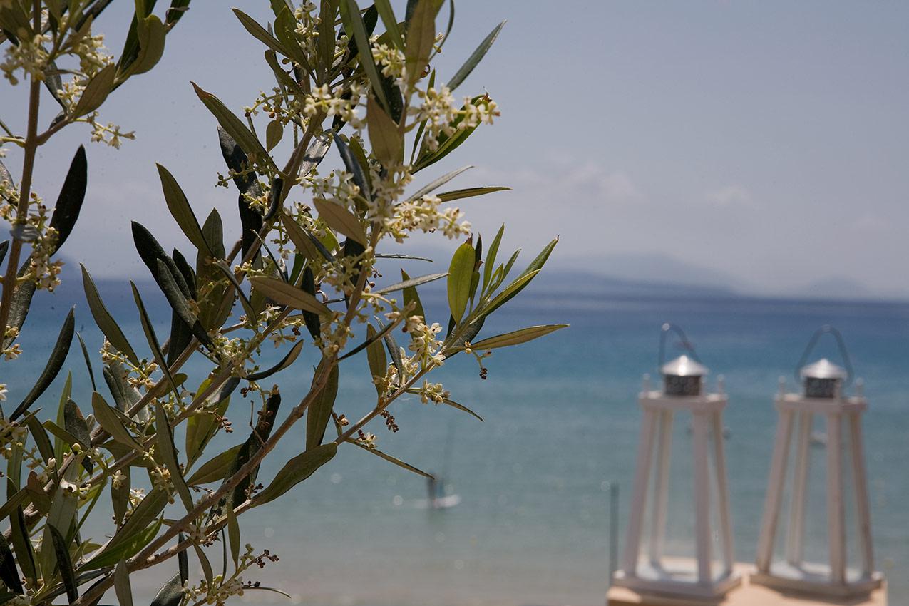 Aparthotel Grand Nefeli