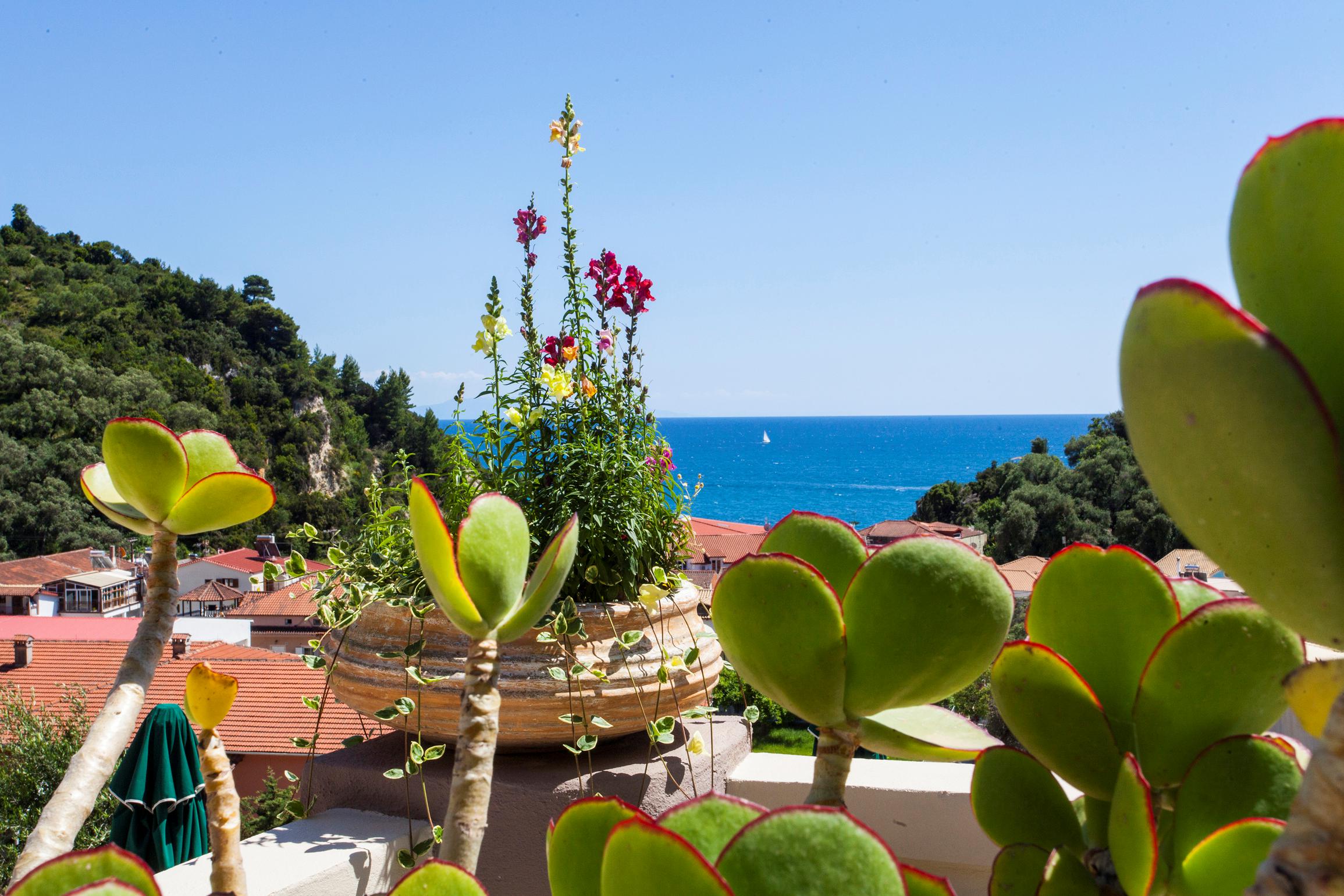 Appartementen Letista