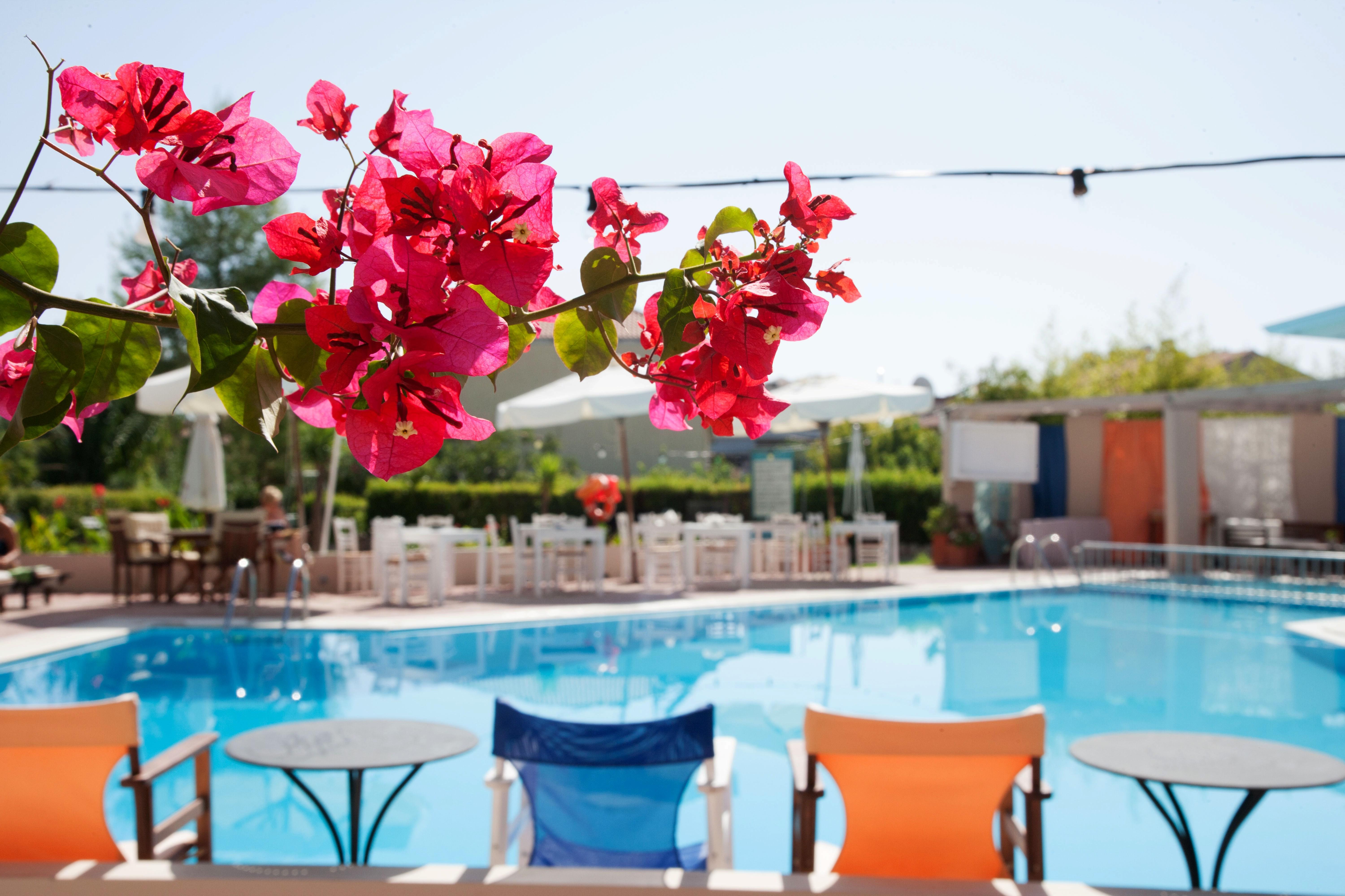 Hotel en Appartementen George