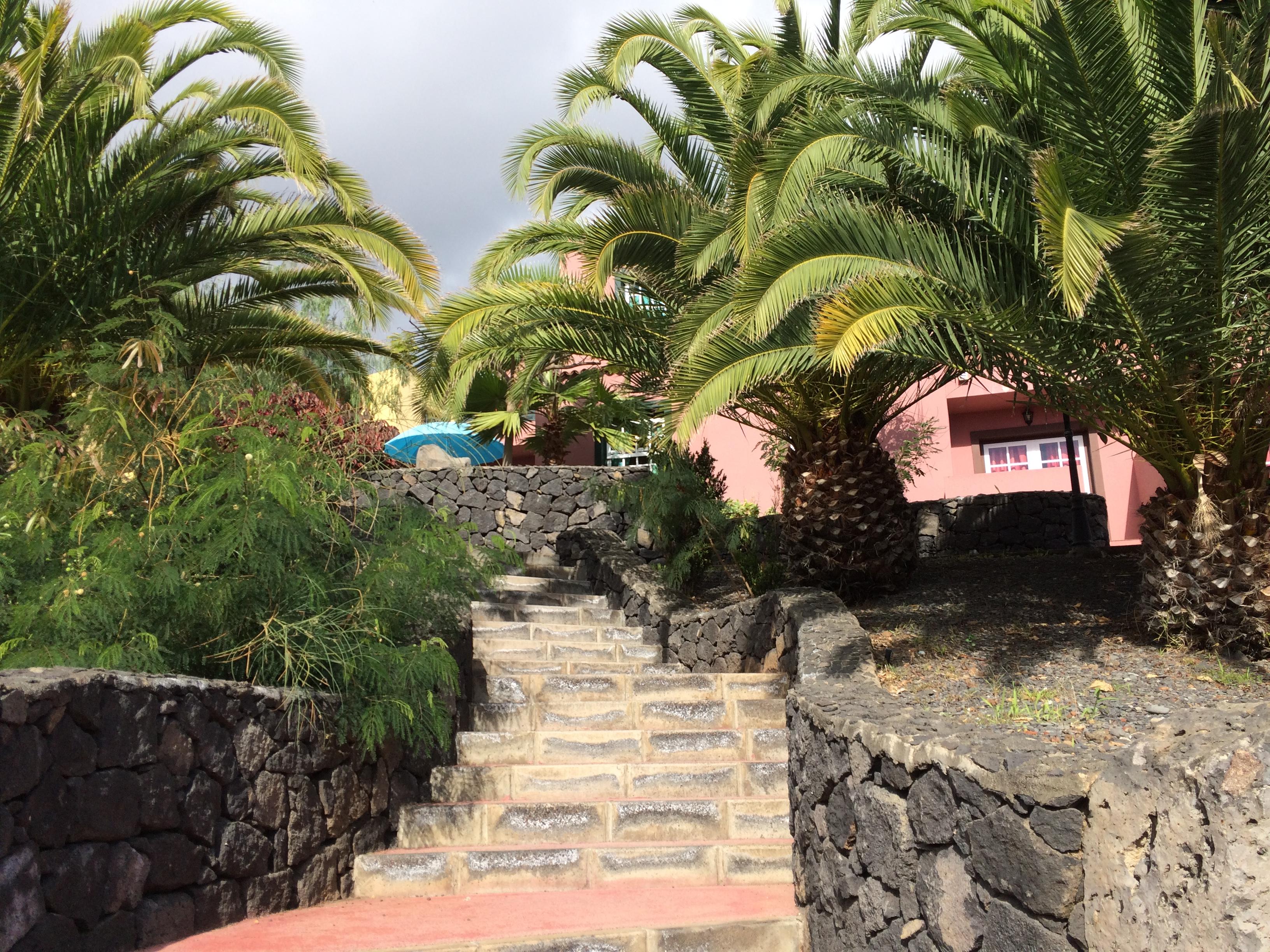 Appartementen Oasis San Antonio