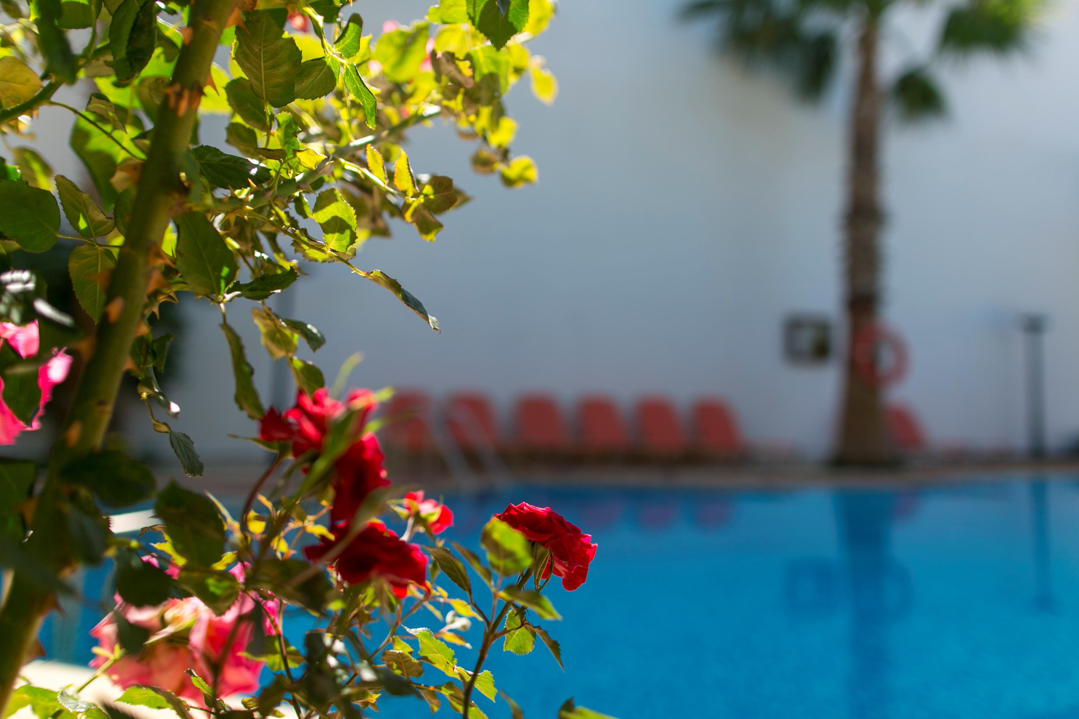 Appartementen Villa Dora