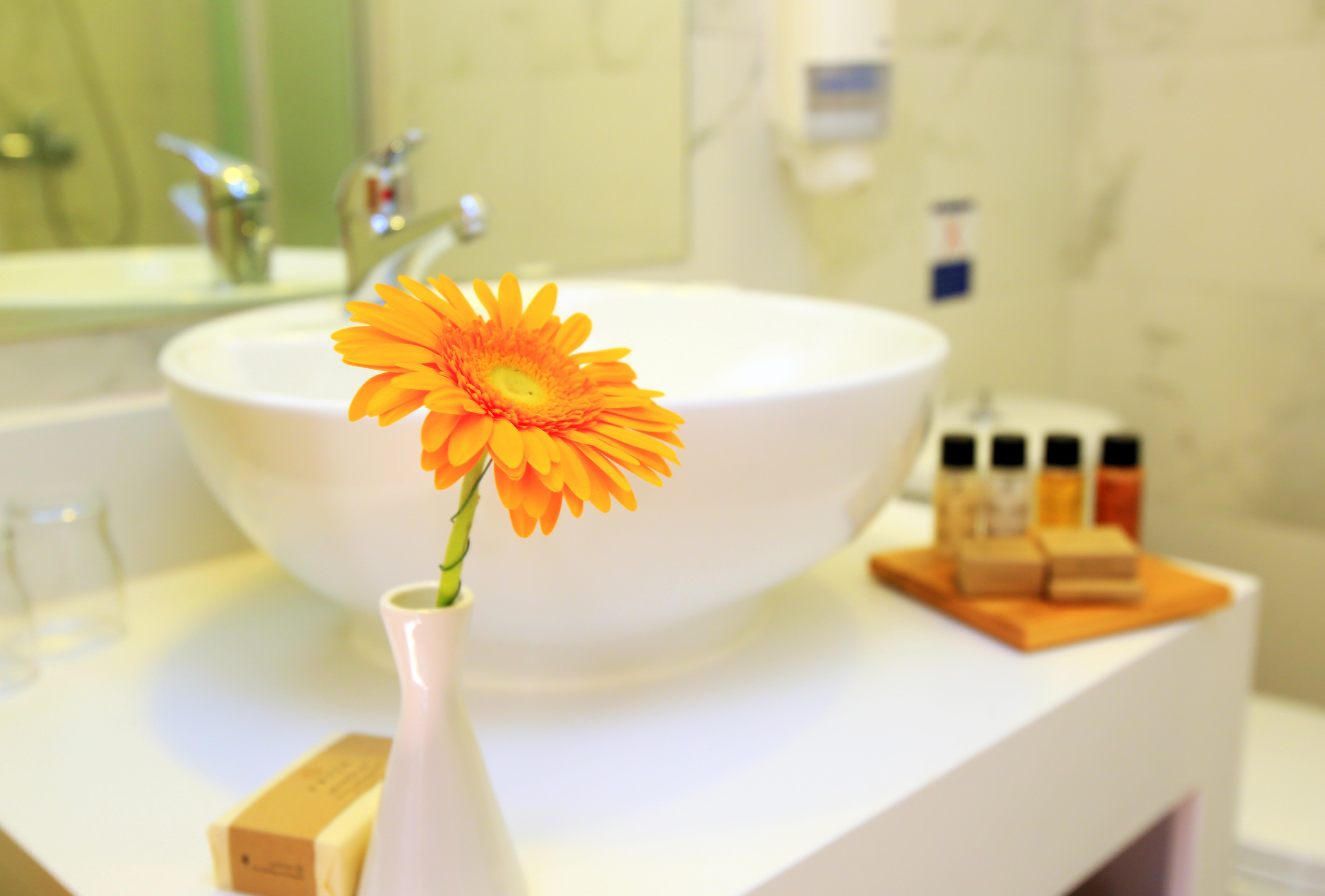 Hotel White Olive Marine Aquapark