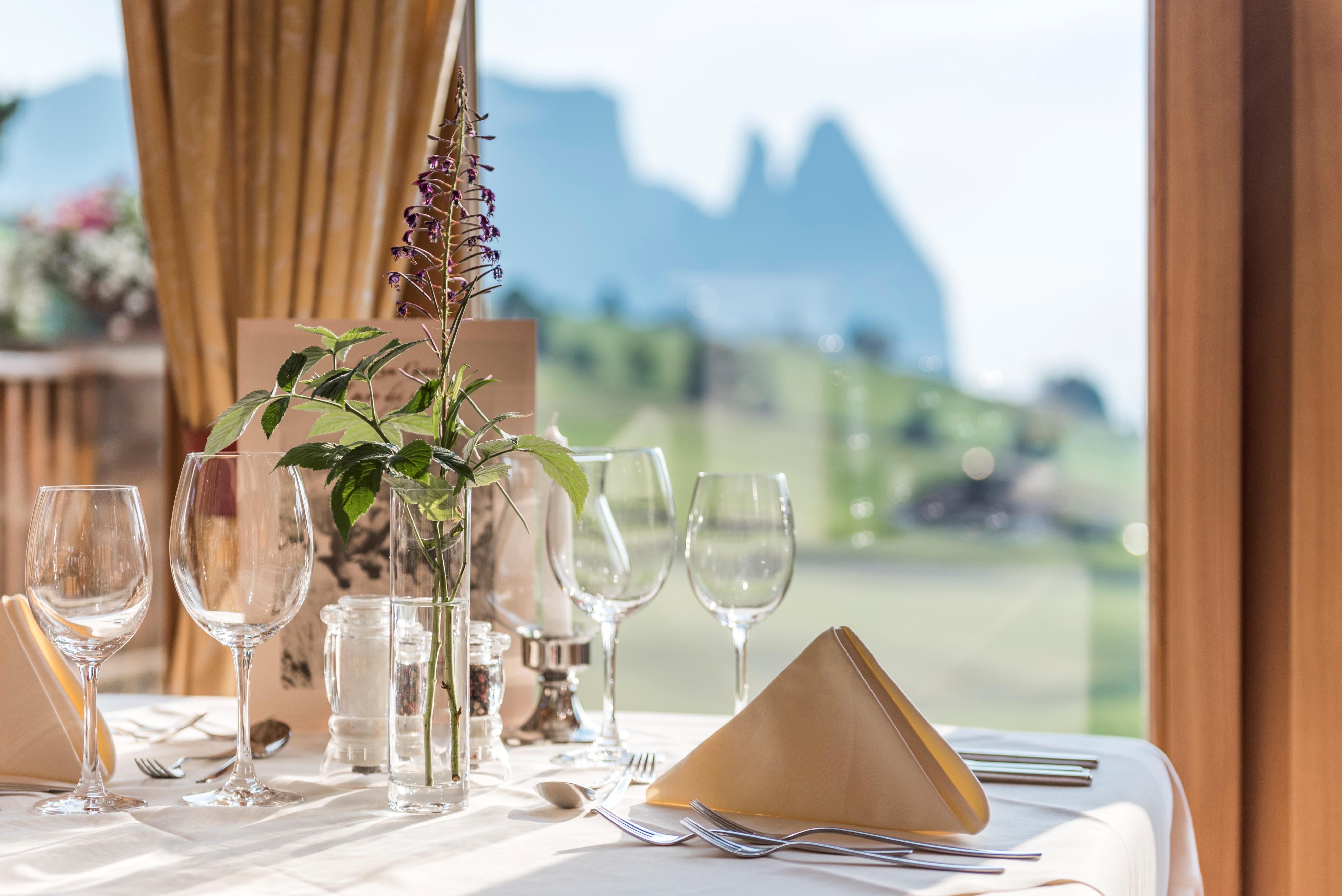 Hotel Steger - Dellai