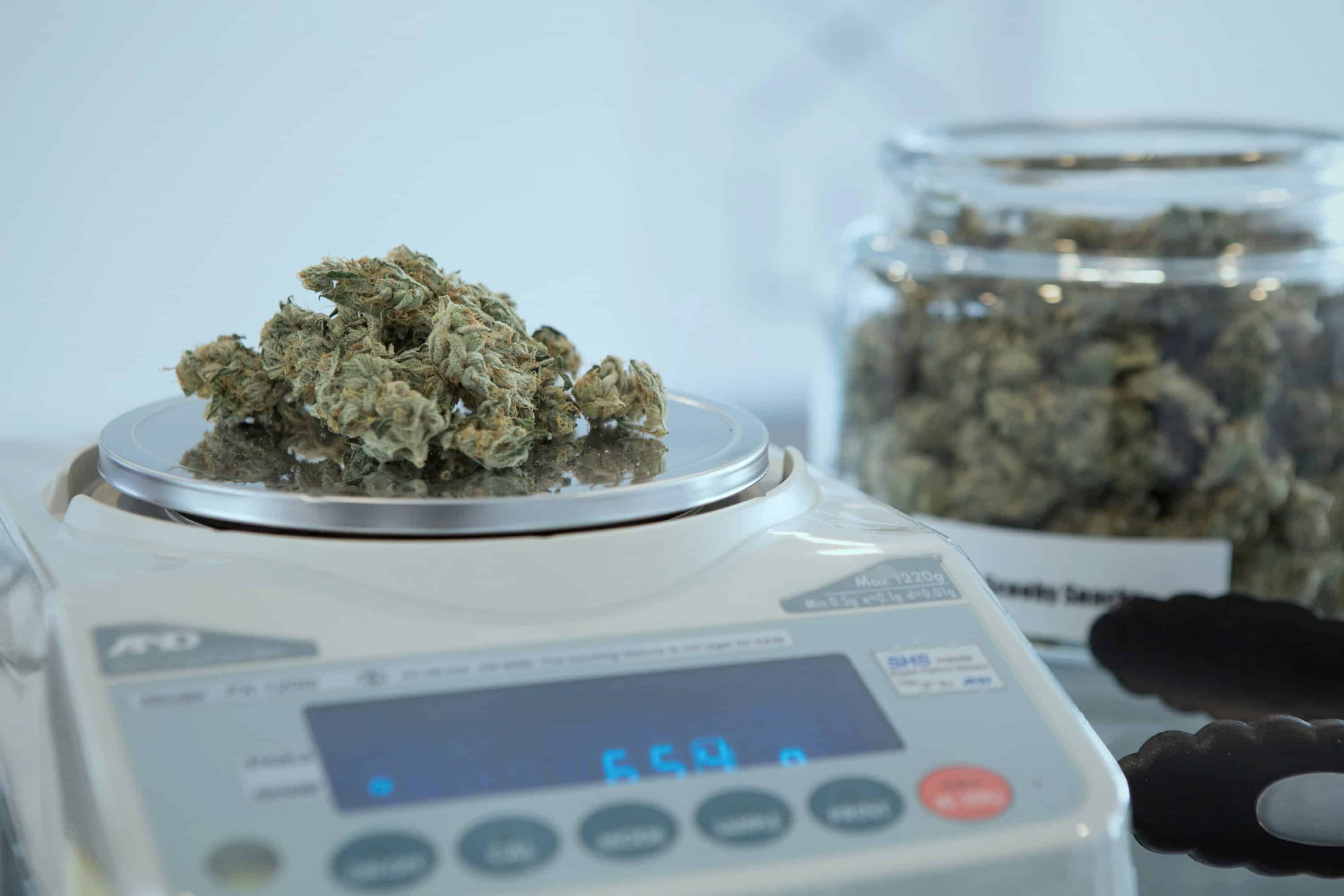 5 Tips to Find for the Best Cannabis Products in Tampa’s Dispensary Scene 5 Tips to Find for the Best Cannabis Products in Tampa’s Dispensary Scene