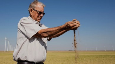 Kansas farmers pulled by weather extremes and growing costs, wheat crop could be worst since 1972 Kansas farmers pulled by weather extremes and growing costs, wheat crop could be worst since 1972