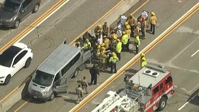 Influencer family of 10 hurt in hit-and-run crash on 170 Freeway in North Hollywood Influencer family of 10 hurt in hit-and-run crash on 170 Freeway in North Hollywood