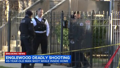 Drive-by shooter kills man sitting in Englewood home, police say Drive-by shooter kills man sitting in Englewood home, police say