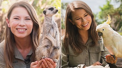 Bindi Irwin Honors World Wildlife Day With Heartwarming Animal Encounters at Australia Zoo Bindi Irwin Honors World Wildlife Day With Heartwarming Animal Encounters at Australia Zoo
