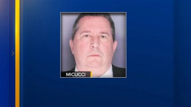 Bucks County public adjuster charged with insurance fraud after allegedly stealing from clients Bucks County public adjuster charged with insurance fraud after allegedly stealing from clients