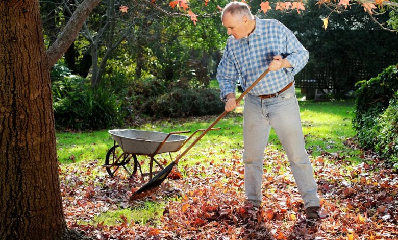 Will unraked leaves damage the lawn you slaved over last summer? Just askin’ Will unraked leaves damage the lawn you slaved over last summer? Just askin’