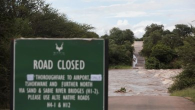 Kruger National Park shuts as deadly floods strike South Africa Kruger National Park shuts as deadly floods strike South Africa