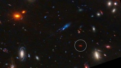 ‘Superheated’ stellar factory in the early cosmos is producing stars 180 times faster than the Milky Way ‘Superheated’ stellar factory in the early cosmos is producing stars 180 times faster than the Milky Way