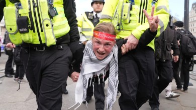 London police arrest more than 200 at protest backing banned group Palestine Action London police arrest more than 200 at protest backing banned group Palestine Action