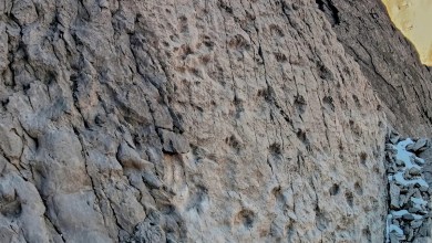 A photographer finds thousands of dinosaur footprints near Italian Winter Olympic venue A photographer finds thousands of dinosaur footprints near Italian Winter Olympic venue