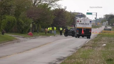 Man killed in hit-and-run near Chicago Executive Airport identified by officials Man killed in hit-and-run near Chicago Executive Airport identified by officials