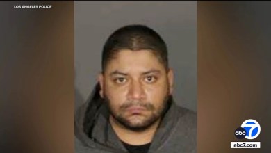 Man arrested in kidnapping, sexual assault of girl in Hollywood; LAPD seeks more victims Man arrested in kidnapping, sexual assault of girl in Hollywood; LAPD seeks more victims