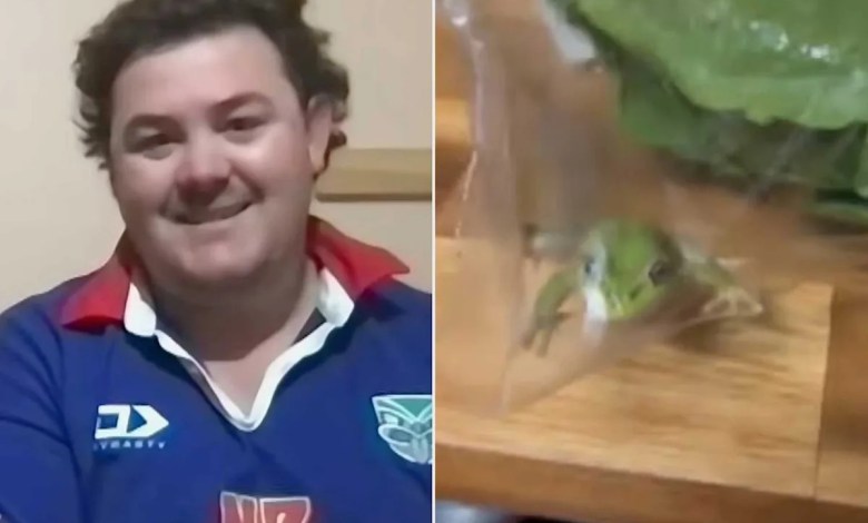 Man Finds Live Frog in Lettuce After Buying Groceries for Steak and Salad Dinner Man Finds Live Frog in Lettuce After Buying Groceries for Steak and Salad Dinner