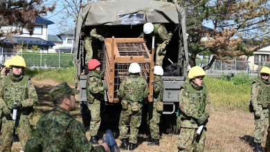 Japan deploys the military to counter a surge in bear attacks Japan deploys the military to counter a surge in bear attacks
