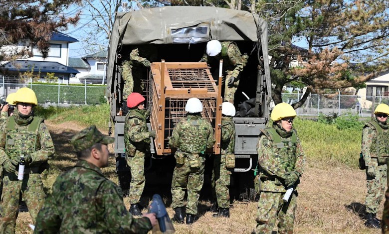 Japan deploys the military to counter a surge in bear attacks Japan deploys the military to counter a surge in bear attacks