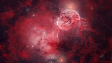 A jellyfish or a brain? Tell us what you see in this gorgeous deep-space nebula photo A jellyfish or a brain? Tell us what you see in this gorgeous deep-space nebula photo