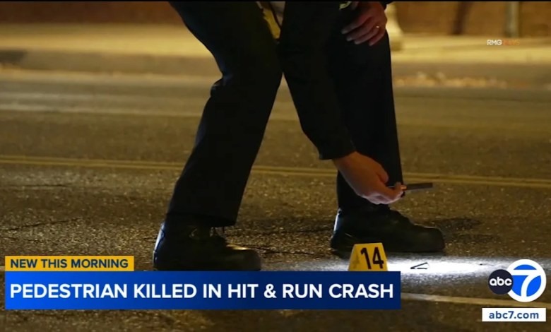 Pedestrian dies after being struck by hit-and-run driver in Winnetka, LAPD says; suspect sought Pedestrian dies after being struck by hit-and-run driver in Winnetka, LAPD says; suspect sought