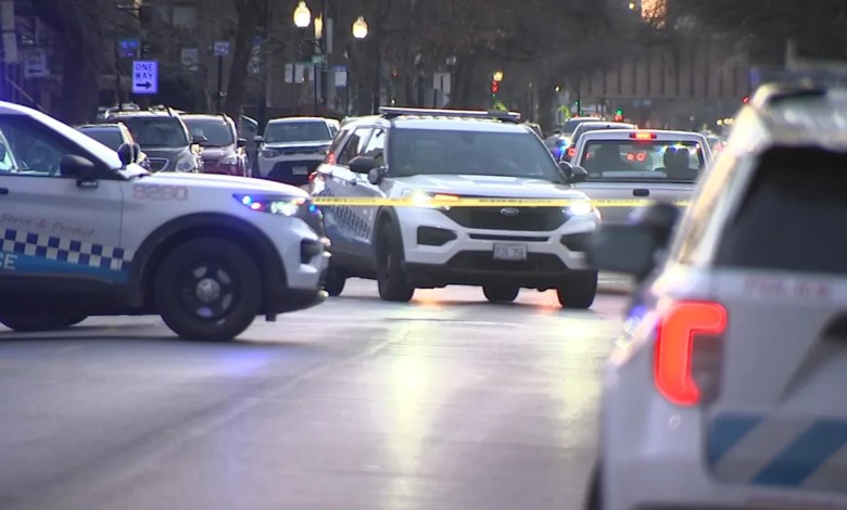 Chicago police, SWAT respond to disturbance in Irving Park Chicago police, SWAT respond to disturbance in Irving Park