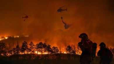 Firefighters grapple with rapidly spreading US wildfire amid powerful wind gusts: ‘We can’t predict that’ Firefighters grapple with rapidly spreading US wildfire amid powerful wind gusts: ‘We can’t predict that’