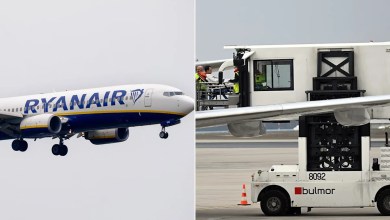 Plane Passenger Had to Be Removed by Ambulift After ‘Alarming’ Behavior Forced Pilot to Abort Landing Plane Passenger Had to Be Removed by Ambulift After ‘Alarming’ Behavior Forced Pilot to Abort Landing