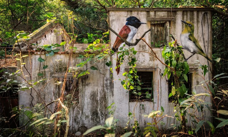 Across the forgotten walls of a Hong Kong island, a flock of bird murals rises Across the forgotten walls of a Hong Kong island, a flock of bird murals rises