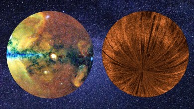 This X-ray image shows our solar system ‘breathing’ This X-ray image shows our solar system ‘breathing’
