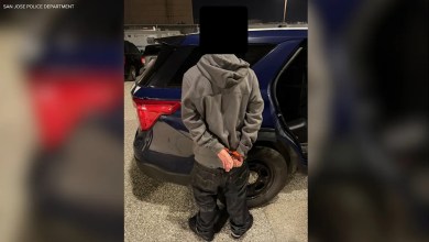 San Jose police arrest suspect in Black Friday triple shooting at Valley Fair Mall San Jose police arrest suspect in Black Friday triple shooting at Valley Fair Mall