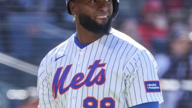 Mets say Luis Robert Jr. is day-to-day with lower back tightness Mets say Luis Robert Jr. is day-to-day with lower back tightness